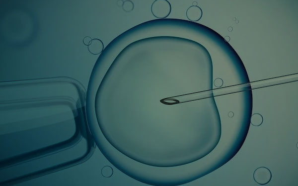 DNA Fértil – Reprodução Assistida e Ginecologia em Natal